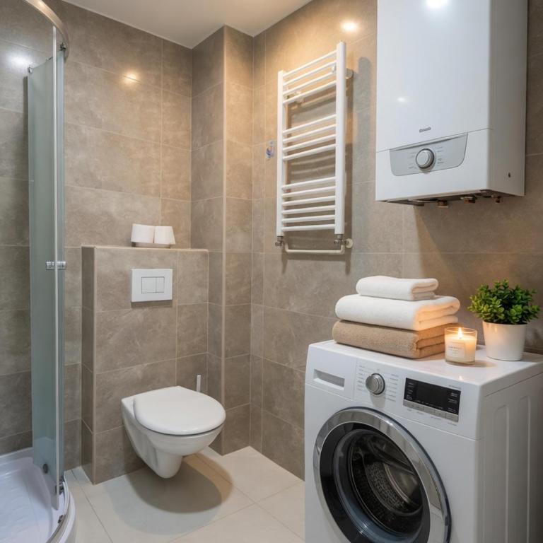 Apartman Jovanovic Royal Stay - Apartman sa 1 Spavaćom Sobom - 4