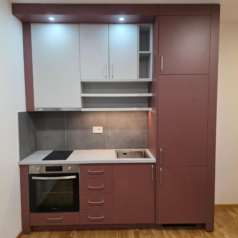 Ajsi apartman Zlatibor - Apartman sa 1 Spavaćom Sobom - 2
