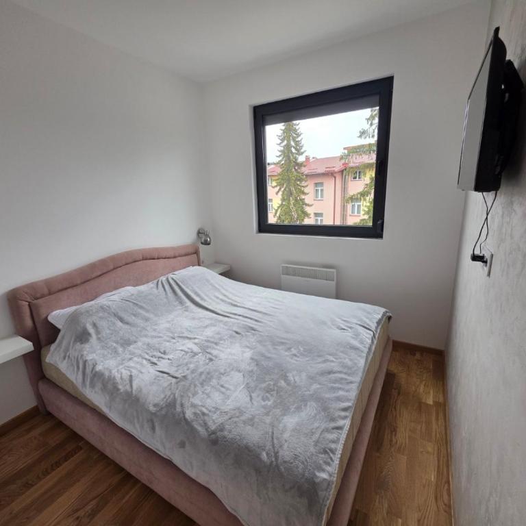 Ajsi apartman Zlatibor - One-Bedroom Apartment - 9