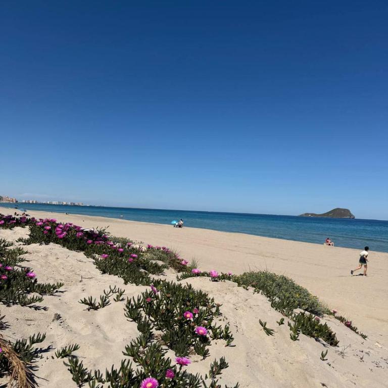 Studio Amalia La Manga - Apartamento de 1 dormitorio - 24
