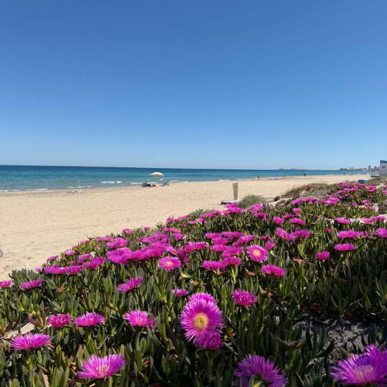 Studio Amalia La Manga - Apartamento de 1 dormitorio - 21