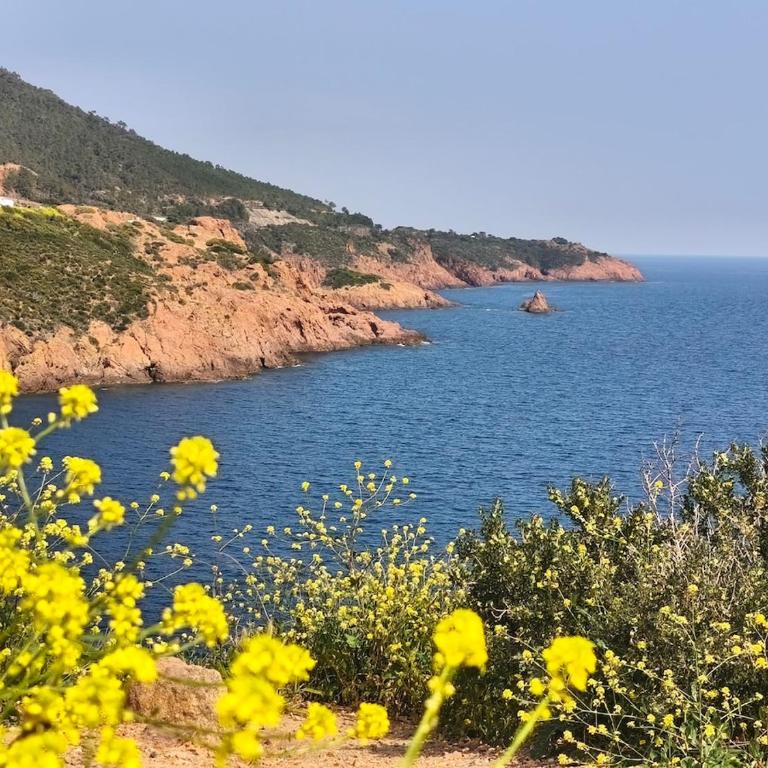 Charmant appartement à Fréjus-Plage - Appartamento con 1 Camera da Letto - 6