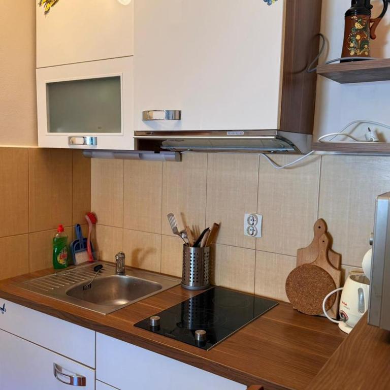 Neva - Apartman sa 1 Spavaćom Sobom - 1
