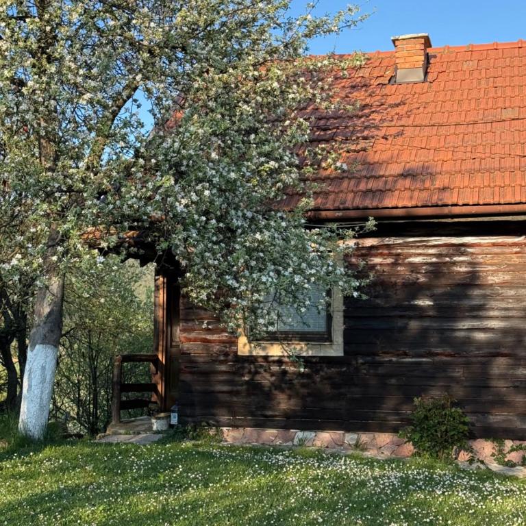Visoko Gorani Cottage - Three-Bedroom Townhouse - 2