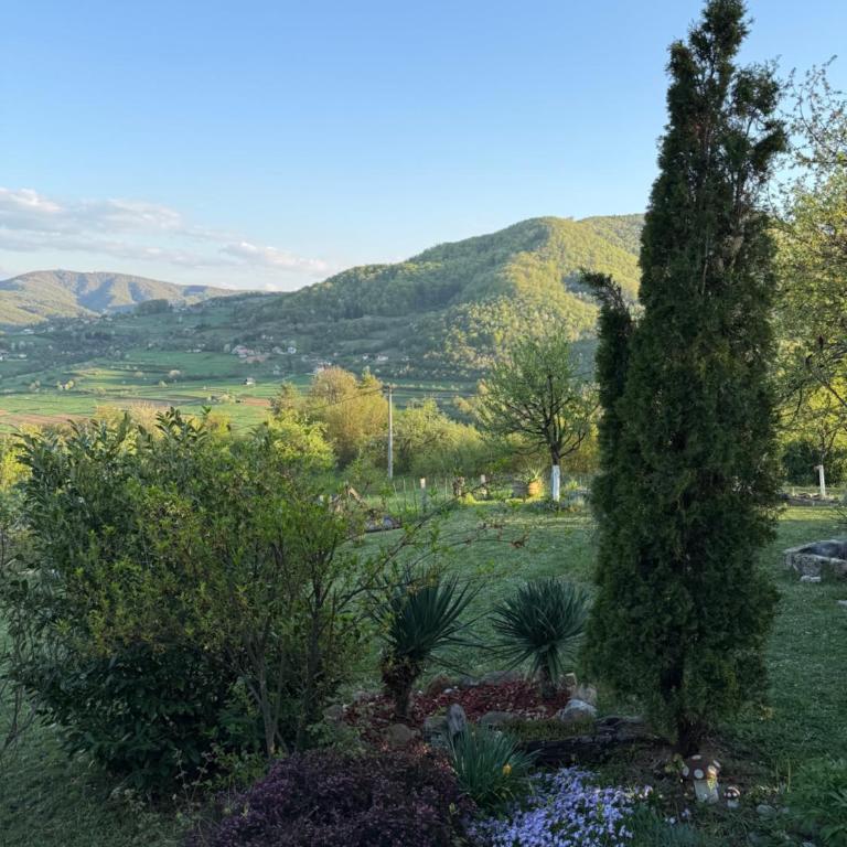 Visoko Gorani Cottage - Three-Bedroom Townhouse - 37