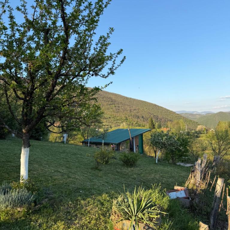Visoko Gorani Cottage - Three-Bedroom Townhouse - 30
