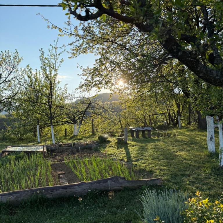 Visoko Gorani Cottage - Three-Bedroom Townhouse - 41