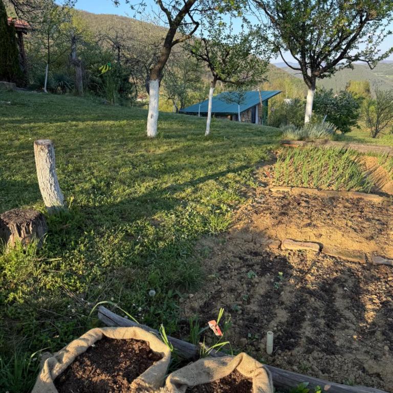 Visoko Gorani Cottage - Three-Bedroom Townhouse - 42