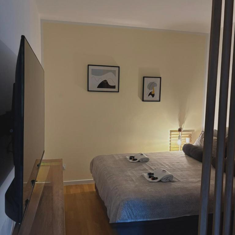 Moon apartment - One-Bedroom Apartment - 11