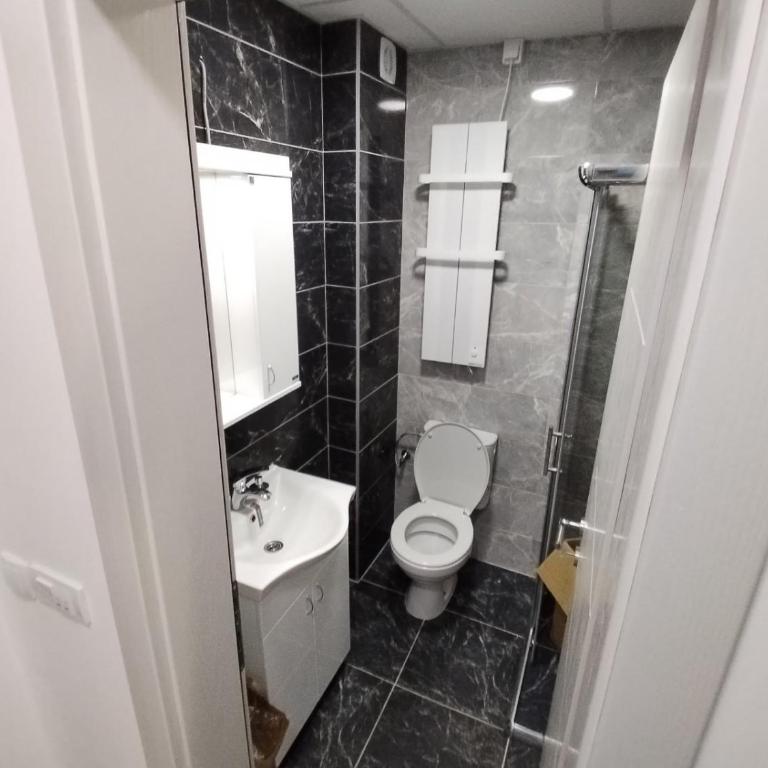 SAN Vrnjačke Banje - Apartment mit 1 Schlafzimmer - 3