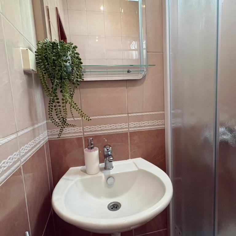 BlueWave Apartmani - Bjelila - Komfor Trokrevetna Soba - 3