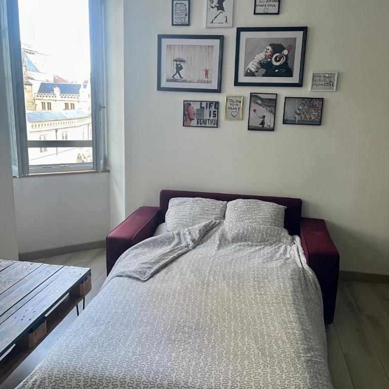 Cocon au cœur de Dijon - Appartement 1 Chambre - 5