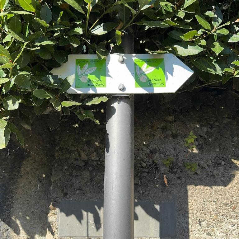 Nido sul lago - Lugano - Appartamento con 2 Camere da Letto - 58