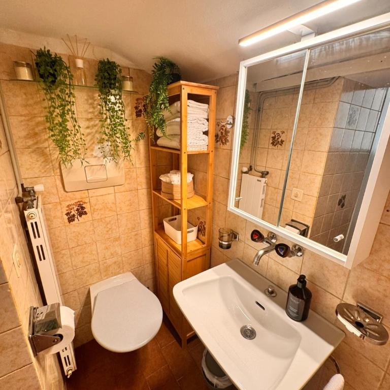 Nido sul lago - Lugano - Appartamento con 2 Camere da Letto - 17