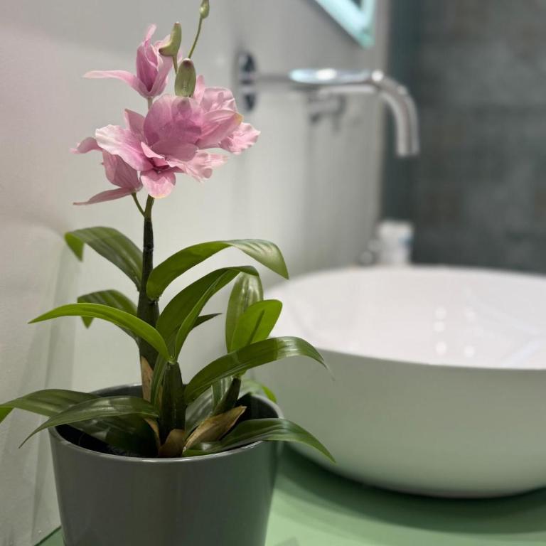 Ines apartments 2 - Appartamento Superior con Balcone - 7