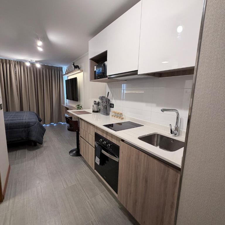 Apartment with views of Cavancha Beach - One-Bedroom Apartment - 2