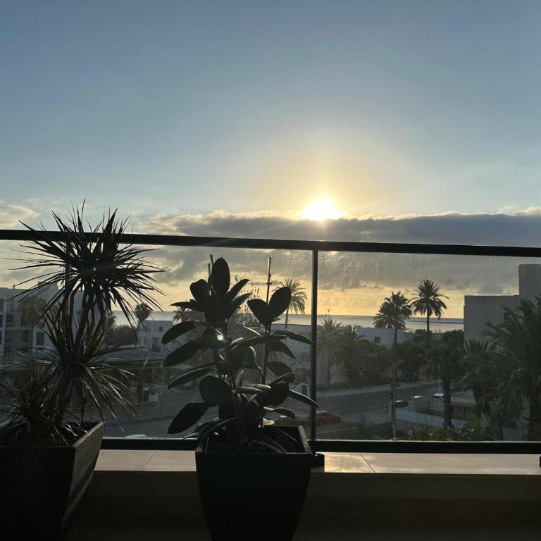 Apartamen Tarases Las Marinas - Apartamento de 2 dormitorios - 15
