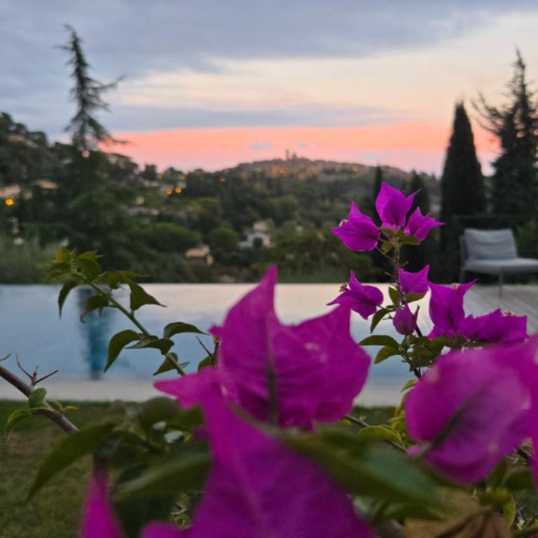 Ideal BnB, Luxury Apartments - Apartment with Terrace and Pool - 14