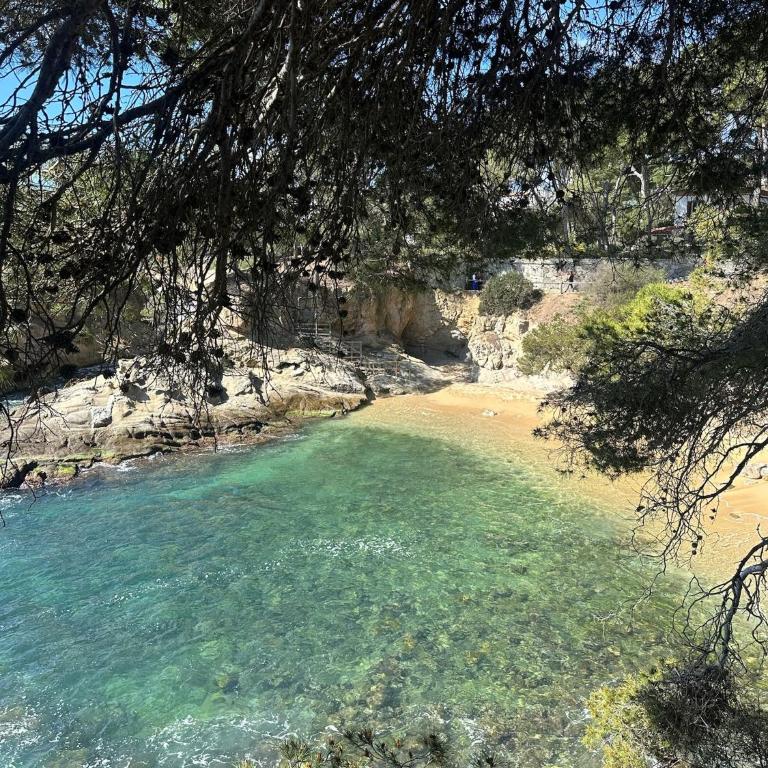 Apartamento en Platja d'Aro - Apartamento de 1 dormitorio - 18