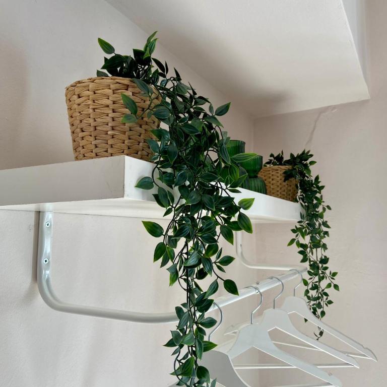 "Private Room" stanza privata with private bathroom - shared kitchen and beautiful terrace on Taormina Center Hostel Taormina - Double Room with Private Bathroom - 6