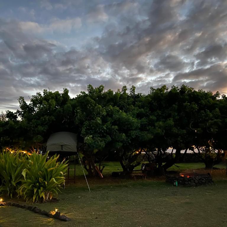 Vaihu Nui Bungalow-Glamping - Tent - 1
