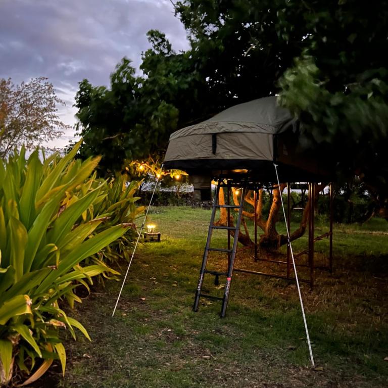 Vaihu Nui Bungalow-Glamping - Tent - 3