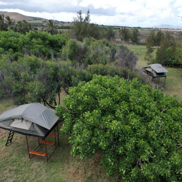 Vaihu Nui Bungalow-Glamping - Tent - 6