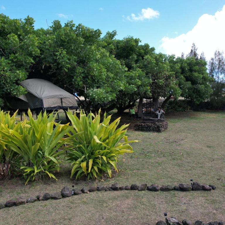 Vaihu Nui Bungalow-Glamping - Tent - 7