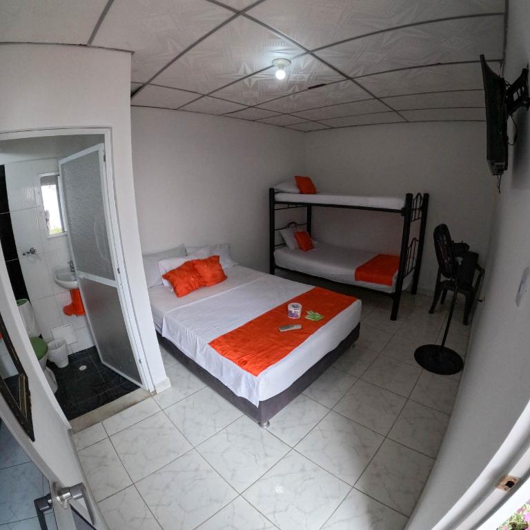 Hotel terranova - Quadruple Room - 1