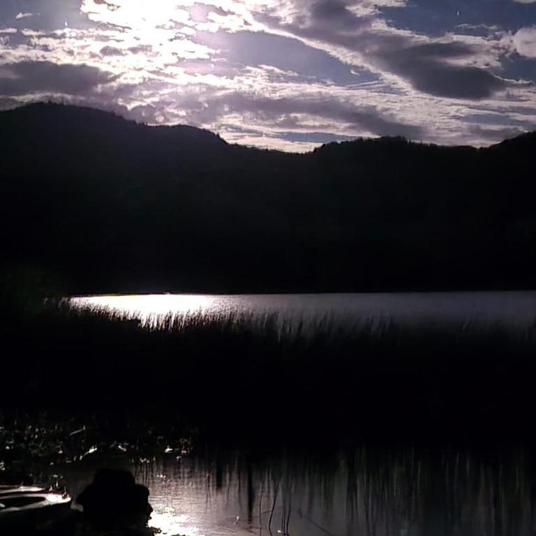 Refugio de Montaña Patagonia a orilla de lago, pesca - Chalet - 22