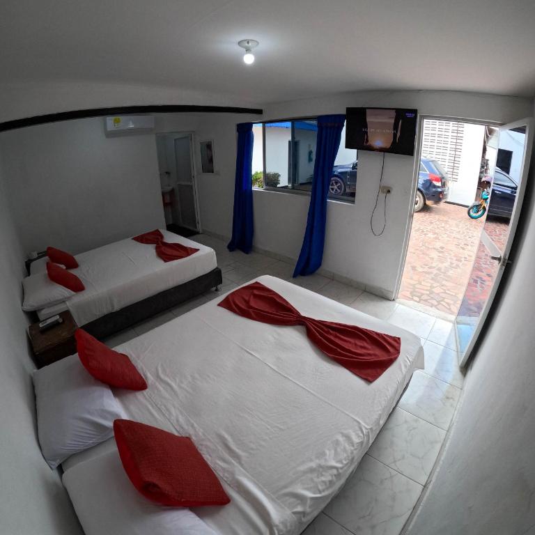 Hotel terranova - Twin Room - 2