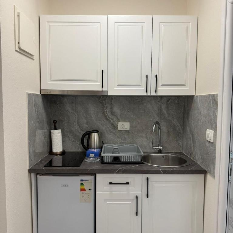 Fenix Apartmani Dubrava - Studio with Balcony - 14