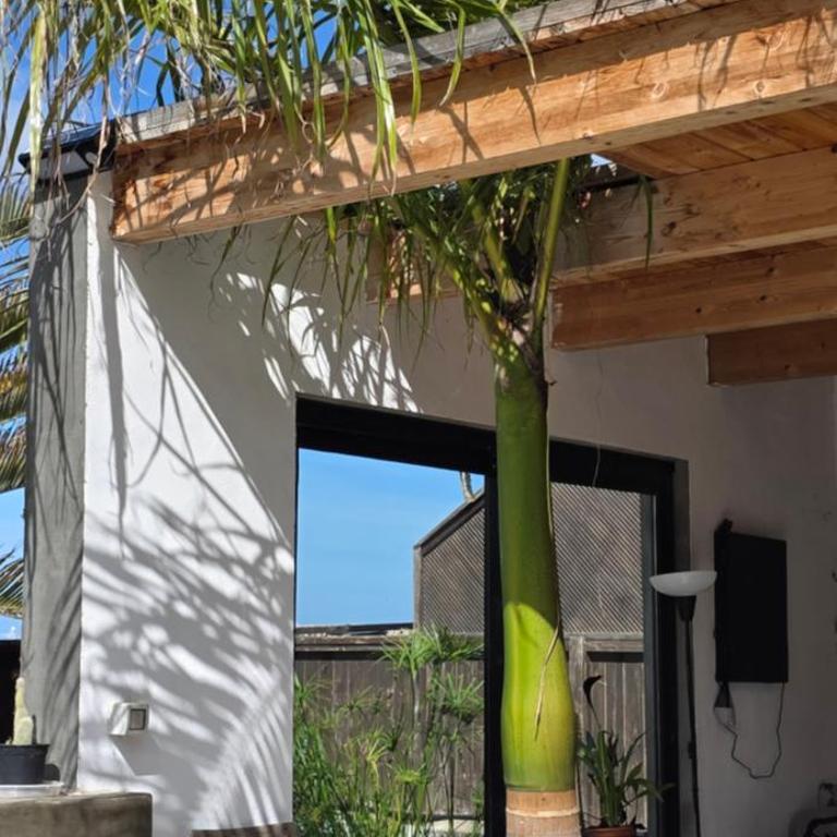 Oasis Lajares Charming oasis with pool and garden in Lajares - Villa de 3 dormitorios - 30