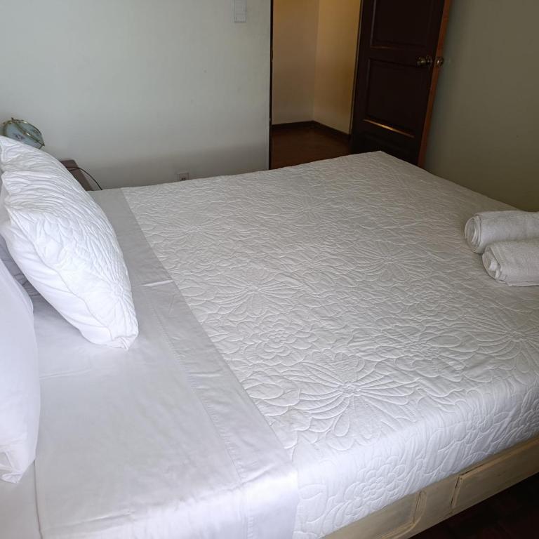 Céntrico y Familiar departamento de 4 Habitaciones - Apartamento - 6