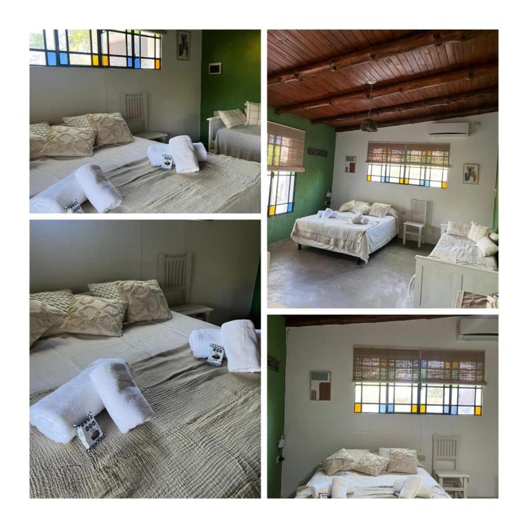 Los algarrobos - Apartamento de 1 dormitorio - 3
