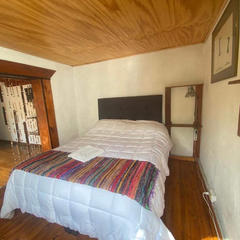 El Pillan "Travelers" House - Single Room with Bathroom - 3