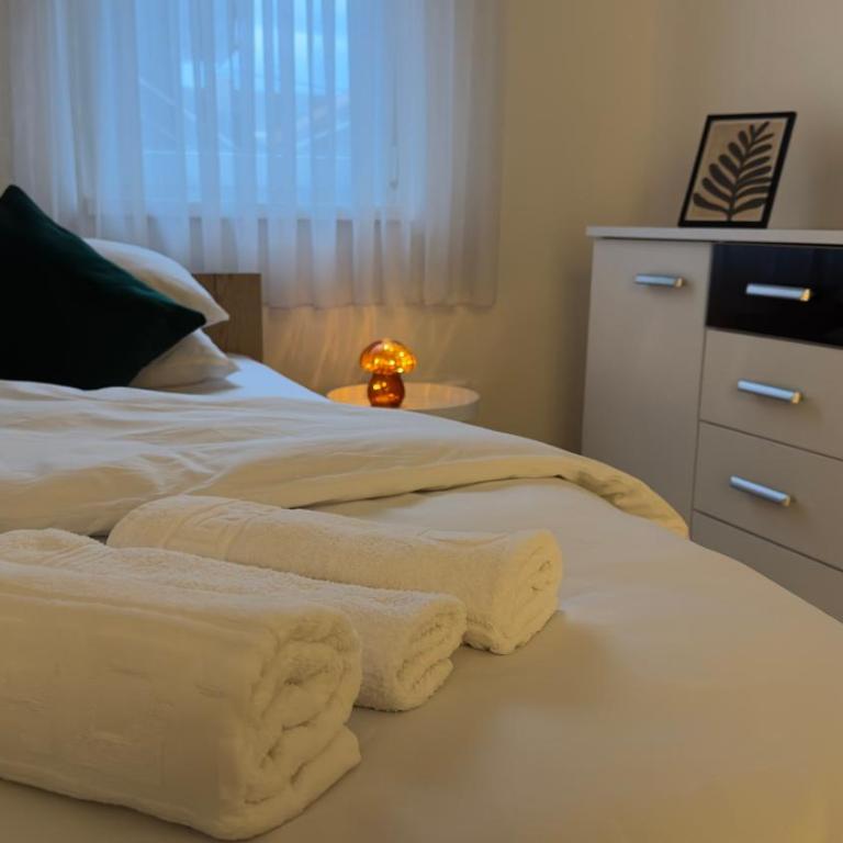 Apartmani Central - Two-Bedroom Apartment - 17