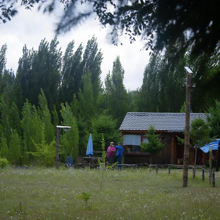 Brisas del llaima - Two-Bedroom Chalet - 20