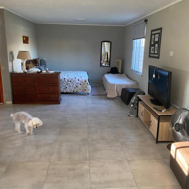 Casa de Sueños 3 - One-Bedroom House - 27