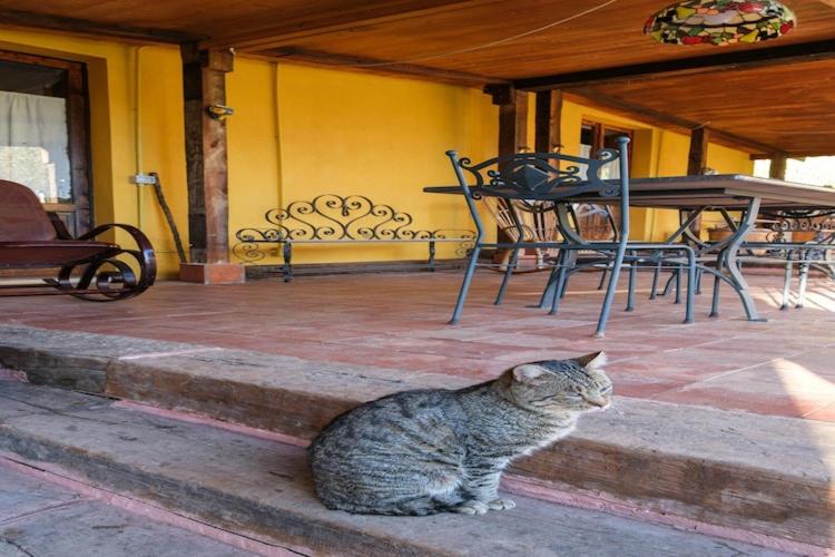 House Sogni di Giove with private pool - Casa Vacanze con 2 Camere da Letto - 8