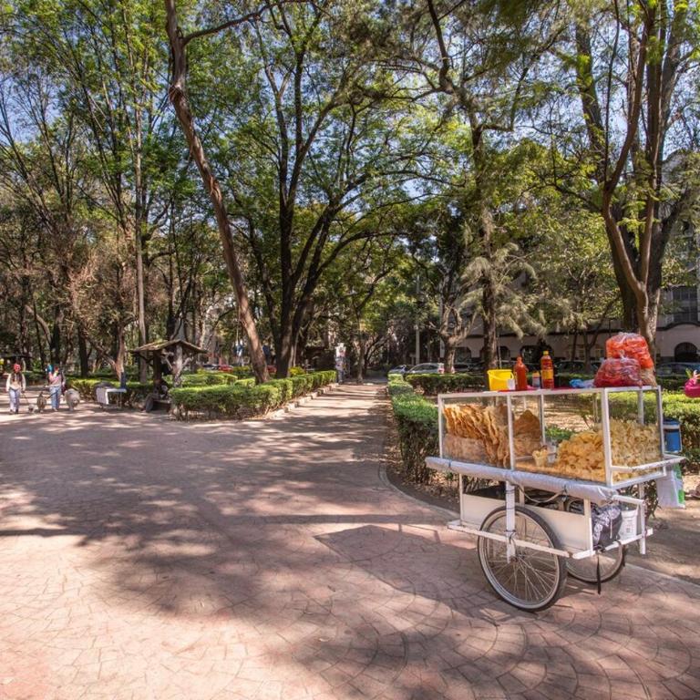 PH in Condesa with a private terrace - Apartamento de 1 dormitorio - 59