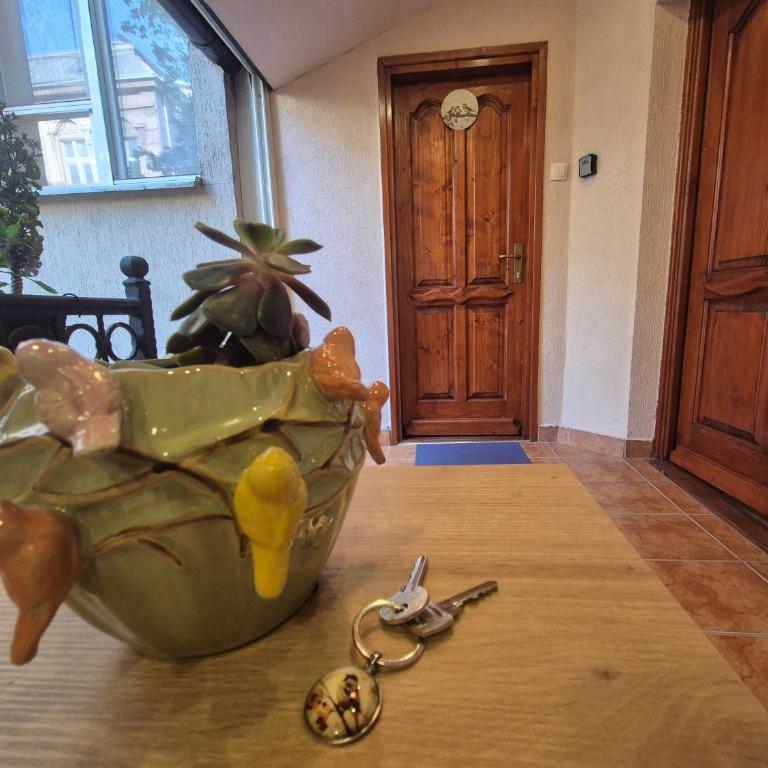 Vrapčići sa Vračara - Studio Apartman - 19