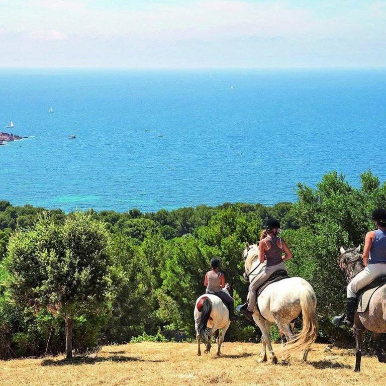 village vacances Cap Esterel vue mer - Appartamento con 2 Camere da Letto - 11
