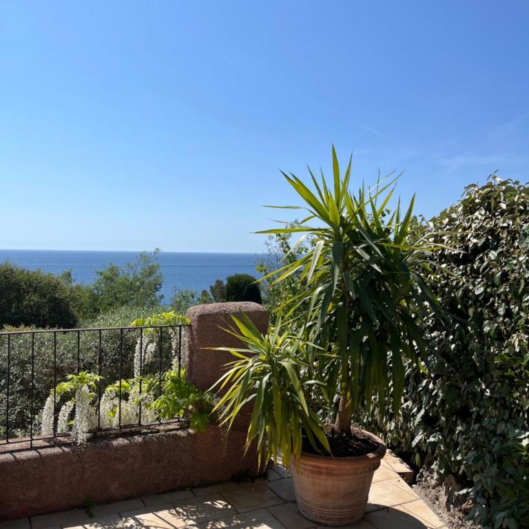 Paradis bleu - Appartement 1 Chambre - 28
