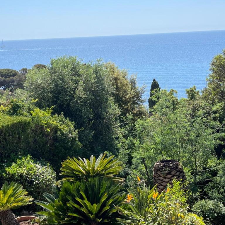 Paradis bleu - Appartement 1 Chambre - 19
