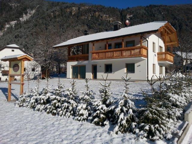 Pitterlehof - Appartamento - 13