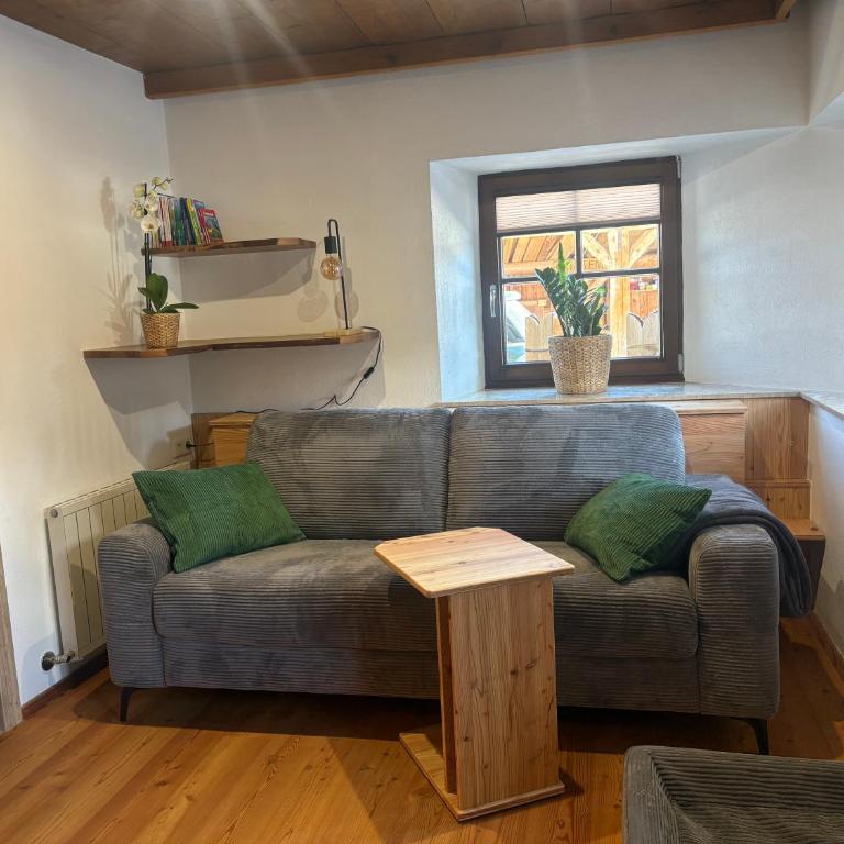 Mooserhof - für Hunde mit ihren Menschen - Apartment mit 1 Schlafzimmer - 1