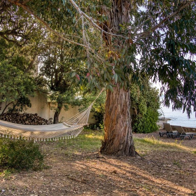 La flémmardière dans une crique paradisiaque - Villa de 2 dormitorios - 59