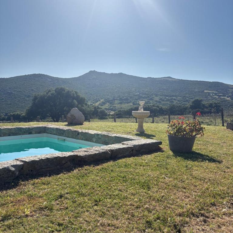 Bergerie de Charme Pedi Lione - Villa 2 Chambres - 49