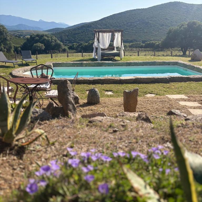 Bergerie de Charme Pedi Lione - Villa 2 Chambres - 45